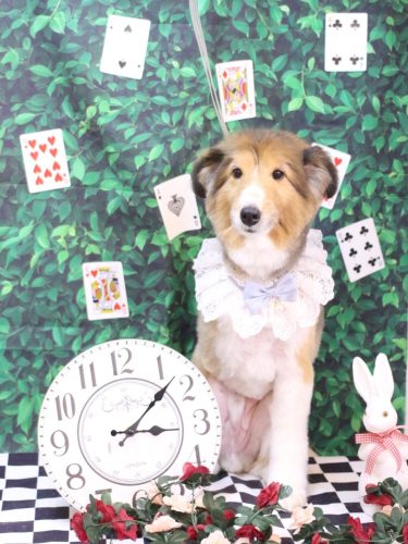 20250419リクくん